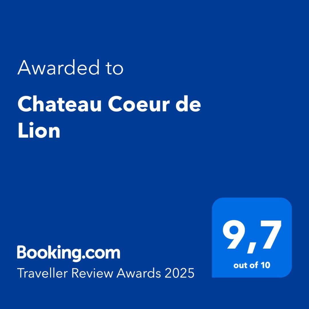 Chateau Coeur De Lion Châteauponsac Esterno foto